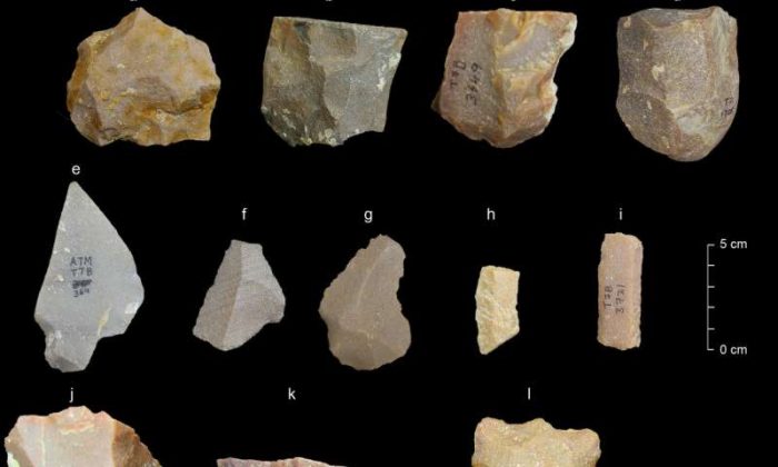 Ancient tools in India suggest earlier human exit from Africa | Tdnews