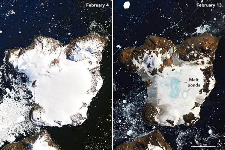 NASA satellite images reveal dramatic melting in Antarctica, Report