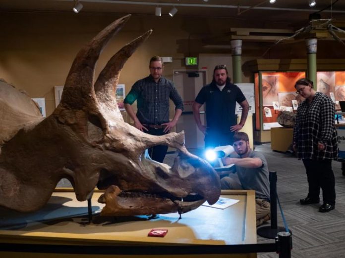 Study: 3D scan sheds new light on Boulder’s own Triceratops