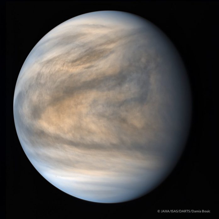 Could there be life on Venus? Paul Davies considers the possibilities