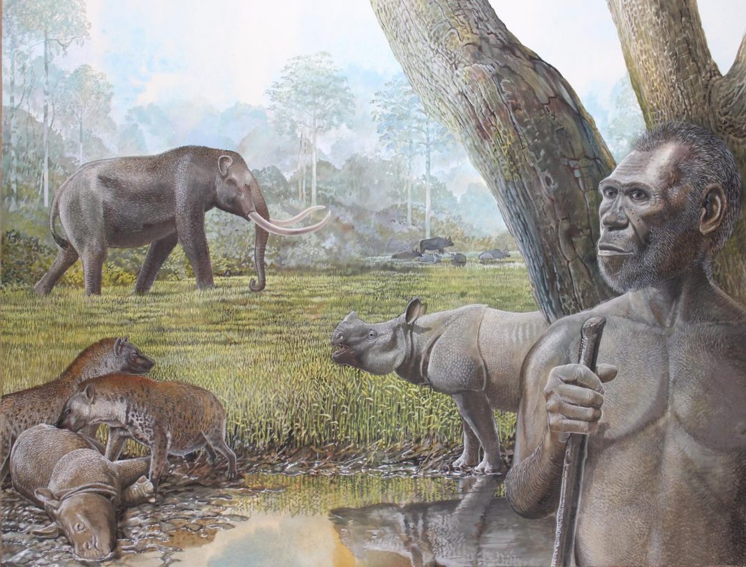 Archaeology: Past tropical forest changes drove megafauna and hominin ...