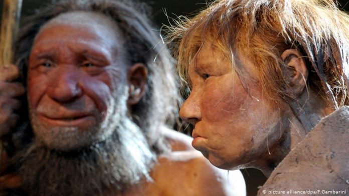 Neanderthal genes may be liability for COVID-19 patients, Researchers Say