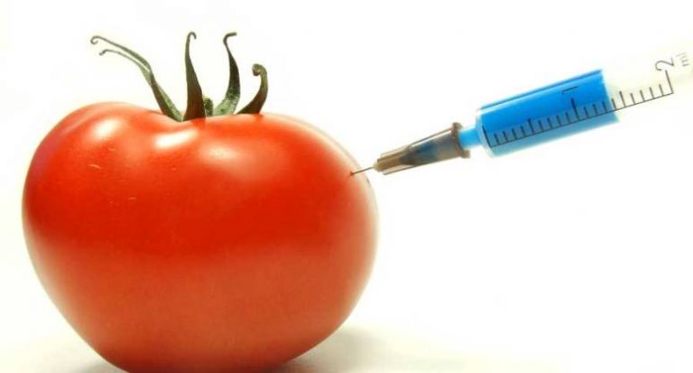 genetically-modified-organisms-how-they-are-made-and-why-they-aren-t