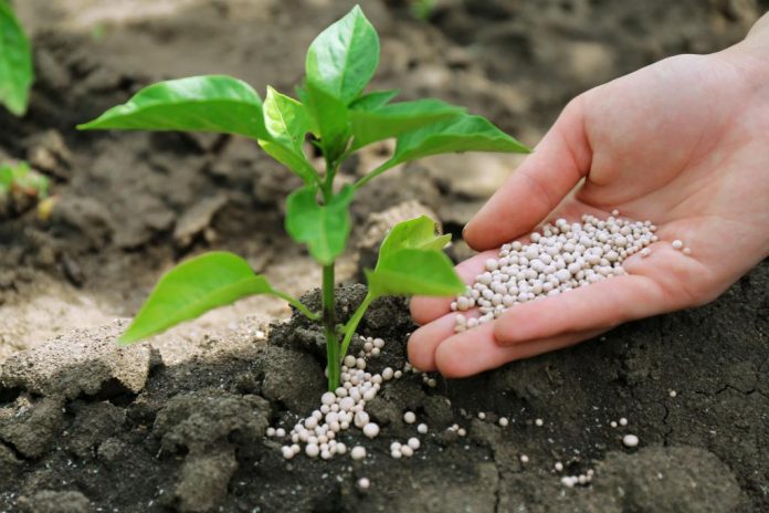 Research clarifies nitrogen’s impact on soil carbon sequestration