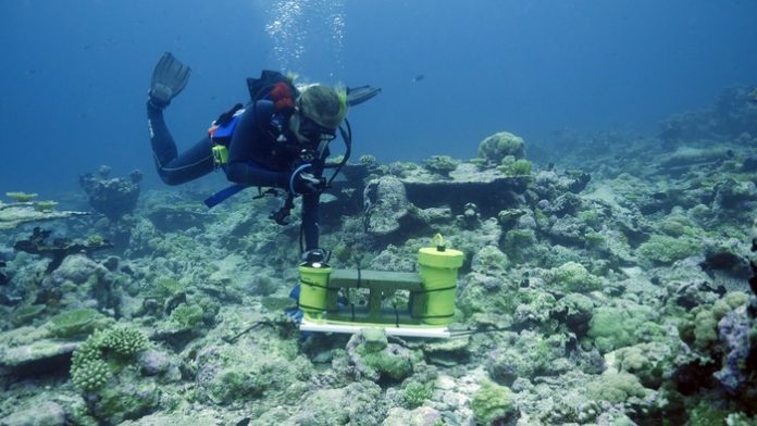 Scientists test physics of coral as an indicator of reef health