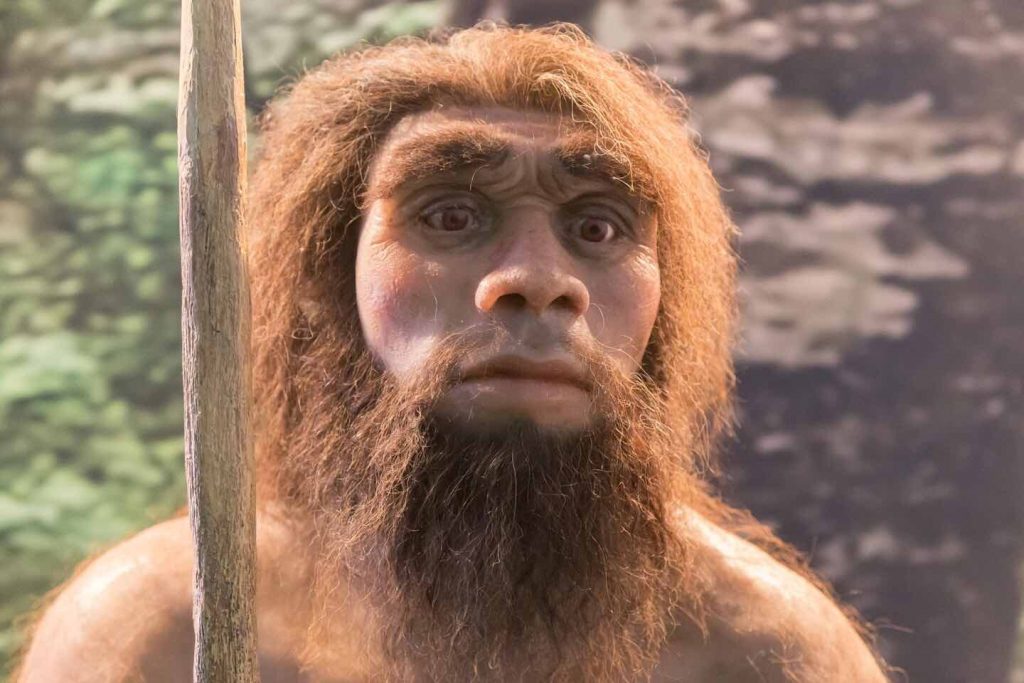 Oldest Neanderthal poop ever found reveals dietary preferences | Tdnews