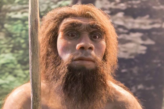 Oldest Neanderthal poop ever found reveals dietary preferences