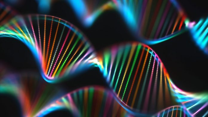 Researchers make leap forward for genetic sequencing