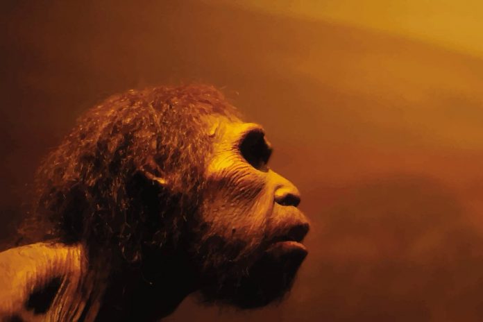 Research shows humans and Neanderthals almost missed out on mating