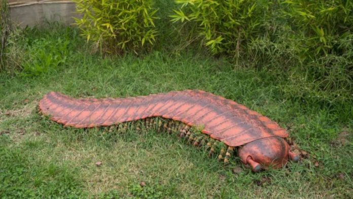 Unveiling the Secrets of Arthropleura: The Ancient Giant of the Earth