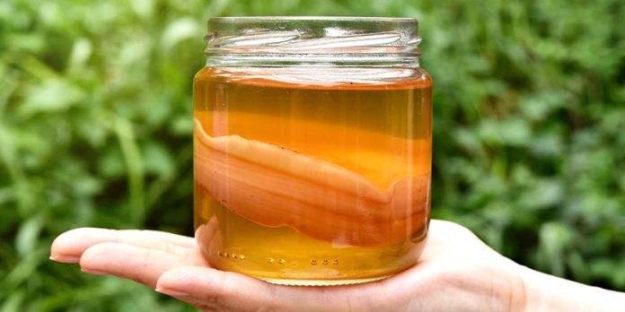 What Are the Benefits of Kombucha?